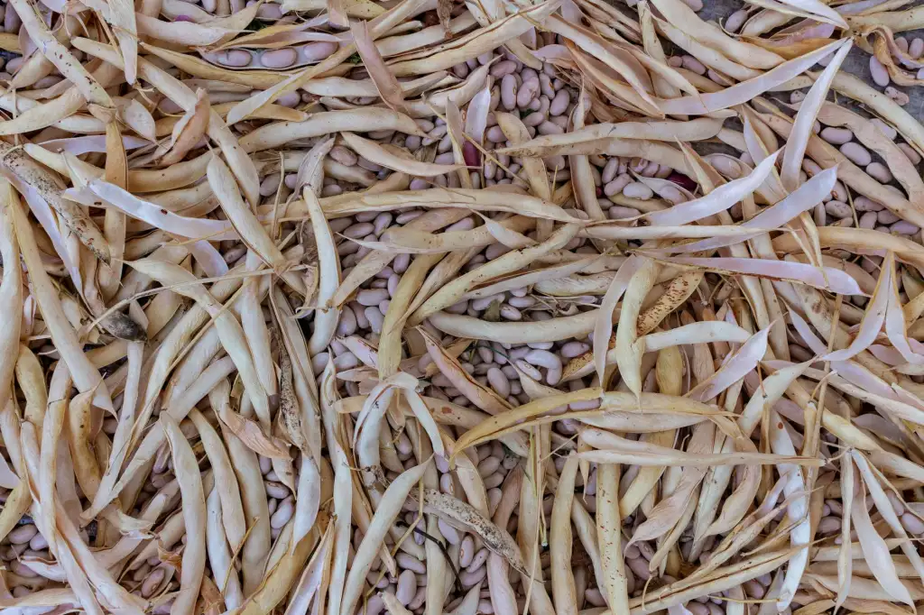 亚健康人群健康管理方案设计与实施流程规范